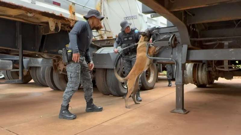 Movimentação de policiais no Macroanel Rodoviário chama a atenção