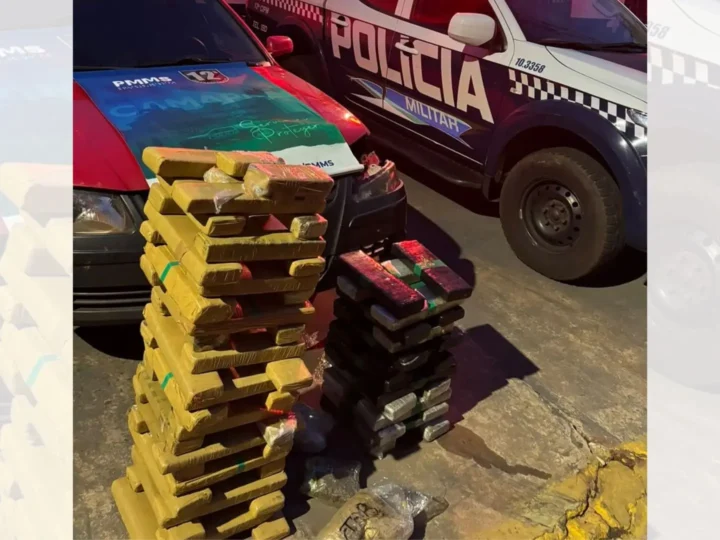 Perseguição na rodovia termina com 70 kg de maconha apreendidos na BR-060