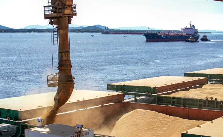 Agronegócio impulsiona exportações de MS, que crescem 12,5% até setembro